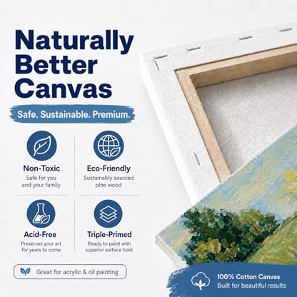 5 Pack 100% Cotton Stretched Canvas for Painting | Multi Sizes 4x6,6x8,8x10,9x12,11x14,Acid-Free Canvas for Oil & Acrylic,Kids,Beginners & Artists,art supplies for adults - size: 5CV