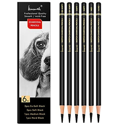 Brusarth Professional Charcoal Pencils Drawing Set - 6 Pieces Soft Medium and Hard Charcoal Pencils for Drawing, Sketching, Shading | Soft Medium and Hard Charcoal Pencils for Drawing, Sketching, Shading, Charcoal Pencils for Beginners & Artists - color:
