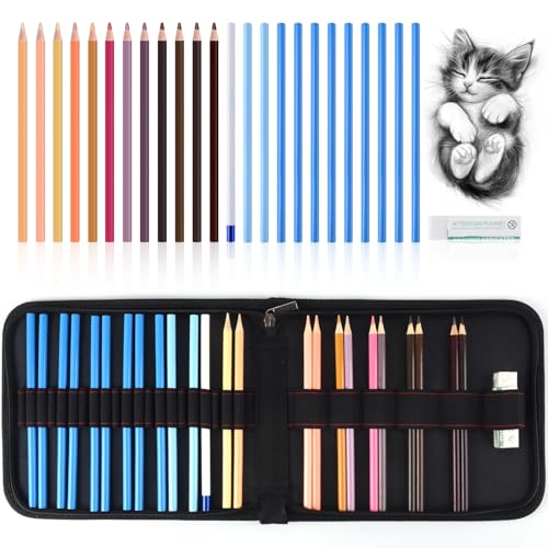 Professional Drawing Set,12 Colored Pencils,12 Graphite Pencils,Eraser,Case | Portable Travel Colored Pencil Case,Sketching Shading Blending Art Supplies,Gifts for Artists Adults Beginners.Skin Black - color: Set-Skin