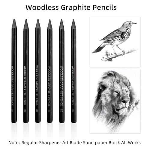 LIVHOLIC Woodless Graphite Drawing Pencils Set,6 Black Lead Pre-Sharpened 2H HB, 2B, 4B, 6B 8B Degrees Coloring Pencils, 50PK Blank Watercolor Card for Sketching,Writing,Shading