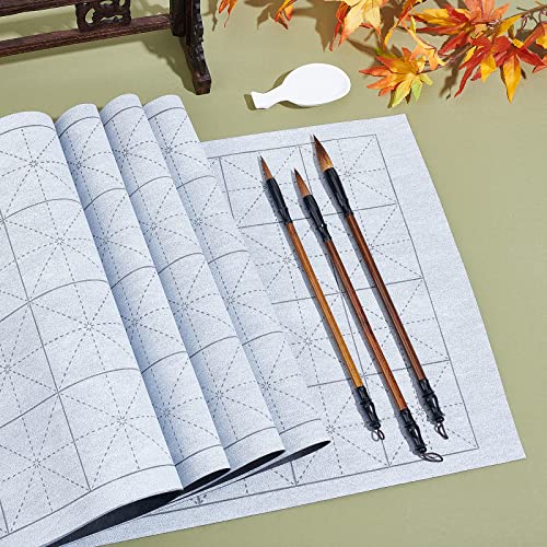 PH PandaHall 12pcs Chinese Calligraphy Set, 8pcs Water Writing Cloth Paper 3 Styles Traditional Calligraphy Brushes Water Dish for Chinese New Year Calligraphy Practice Japanese Sumi Drawing Painting - color: Grey