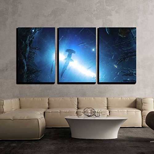 wall26 - 3 Piece Canvas Wall Art - The Marine Life, Ocean Park Hong Kong - Modern Home Art Stretched and Framed Ready to Hang - 16"x24"x3 Panels - color: Artwork - 08, size: 24" x 16" x 3 Panels