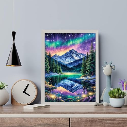 Arttoplus Starry Night Paint by Numbers Kit for Adults Beginner 16x20 inch - color: MT22611-US