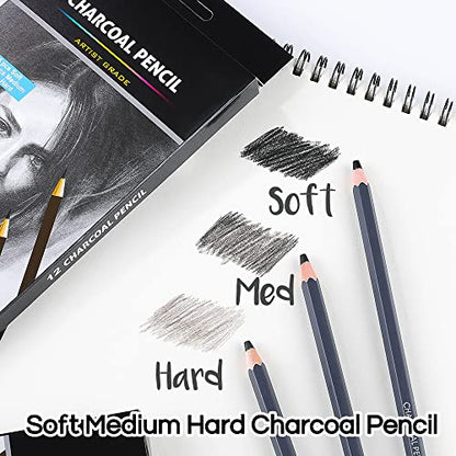 Dyvicl Professional Charcoal Pencils Drawing Set - 12 Pieces Soft Medium and Hard Charcoal Pencils for Drawing, Sketching, Shading, Artist Pencils for Beginners & Artists
