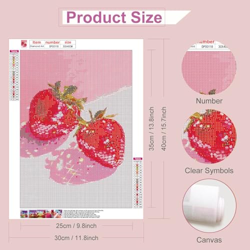 RYMILIE Strawberry Diamond Art Kits for Adults Diamond Painting Kit 12x16in - color: DP00118