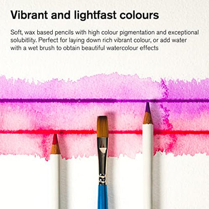 Winsor & Newton Studio Collection, Watercolor Pencils, Set of 12 | Highly pigmented, Wax-Based, Can be Used Wet/Dry, Add Water & Brush to Create Painterly Effects, Break-Resistant Points. - style: 12 Watercolor Pencils