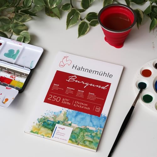 Hahnemühle Postcard Pad, Rough Surface, 20 Sheets, 4.13 x 5.83 inches, 250gsm, Watercolor, Blank Postcards