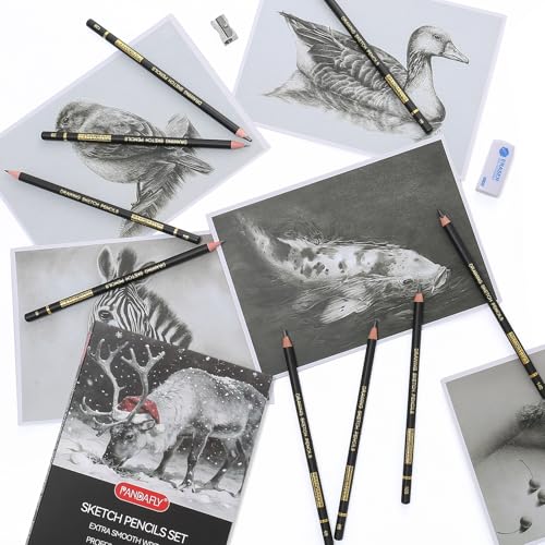 PANDAFLY Drawing Sketch Pencil Set, 16 Piece, 4H to 14B Graphite Pencils