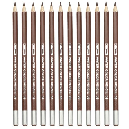 PATIKIL Watercolor Pencil, 12Pcs Water Soluble Pencils for Blending, Coloring, Sketch Drawing, Painting, Coffee - color: Coffee