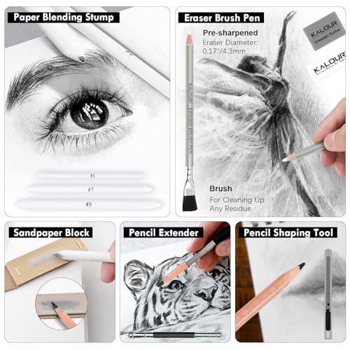 KALOUR PDAS 39pcs Drawing Pencil Set, Professional Sketching Kit with Graphite, Charcoal & Sketch Pencils for Drawing, Complete Drawing Kit for Artists & Beginners