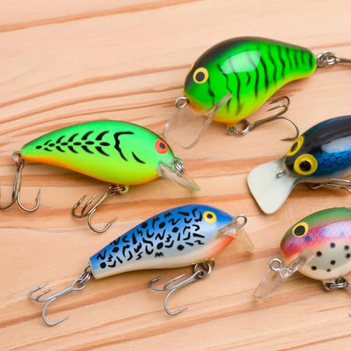 ForraFun 6 Pieces Lure Stencil Kit Fishing Lure Airbrush Stencil Reusable Milky Translucent Plastic Painting Template (Style A) - style: Style A