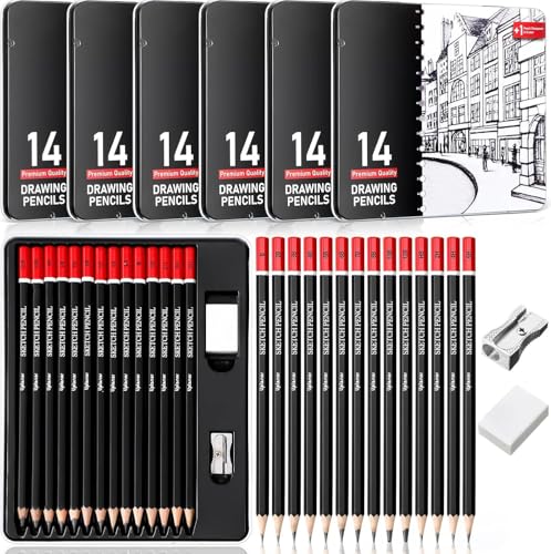 Professional Sketch Pencil Set, 14 Piece Drawing Pencils (12B-6H), Graphite Charcoal Art Pencils with Eraser and Sharpener in Metal Tin Case