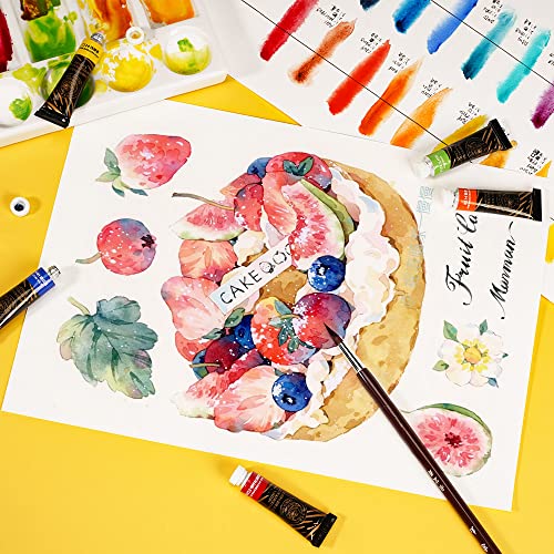 Paul Rubens Artist Watercolor Paint Set,24 * 5 ml Vibrant Colors, Watercolor Tubes for Profesional Artists&Hobbists, Art Supplies for Watercolor Painting, Comic, Illustration, Decoration - color: 24 color