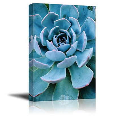 wall26 Canvas Wall Art - Closeup of a Blue Succulent Plant - Giclee Print Gallery Wrap Modern Home Art Ready to Hang - 12x18 inches - color: Artwork - 01, size: 18"L x 12"W