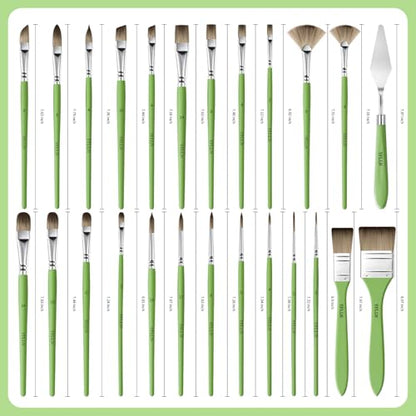 Paint Brushes Set of 25 Pieces Wooden Handles Brushes，Professional Artist Series with Filbert, Fan, Dagger, Cat Tongue, Round, Angle, Wide Flat Canvas Roll Bag & Palette Knife