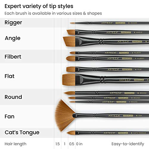 ARTEZA Paint Brushes Set of 12, Acrylic and Oil Paint Brushes with Synthetic Hair, Rust-Resistant Ferrules and Birch Wooden Handles for Canvas, Crafts, Blending, Layering, and Detail Work - style: Acrylic & Oil