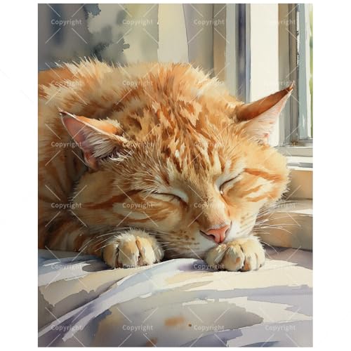TAOPAOLAB Sleeping Cat Paint by Numbers Kit for Adults - DIY Orange Tabby by Window Painting on Canvas 16x20In, Framed Acrylic Paint Set, Suitable for Beginners, Art for Home Decoration or Gifts - color: FM06139, size: 16×20in Framed