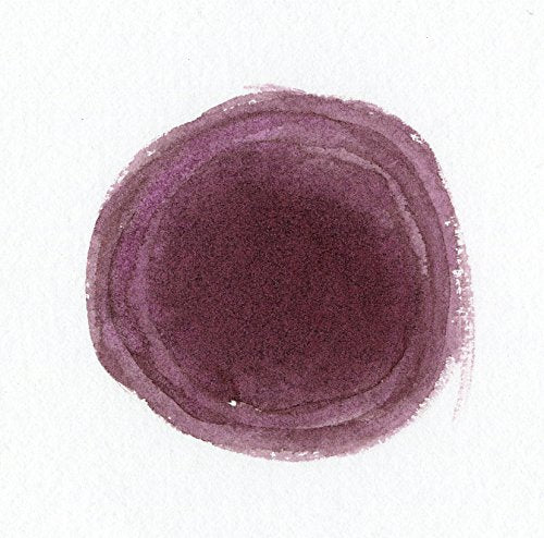 Higgins Pigmented Drawing Ink, Brown, 1 Oz Bottle (44705) - color: Brown