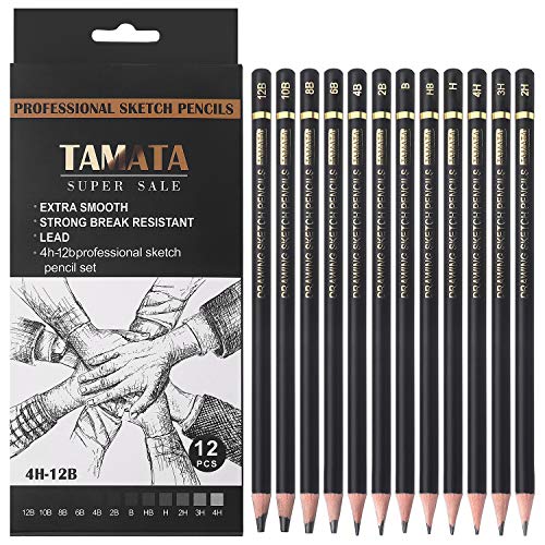 RVOGJP TAMATA Professional Drawing Sketching Pencil Set - 12 Pieces Art Graphite Pencils(12B - 4H), Ideal for Drawing Art, Sketching, Shading, for Beginners & Pro Artists