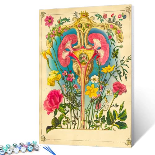 Aihonmin Female Reproductive System Paint by Number Kits Adults,Organs Anatomy Paint，Rustic Canvas for Painting Acrylic Pigment Crafts Painting with Brushes and Acrylic Without Framed 16''W x 20''H - color: Organs-01, size: 16''x20''(Frameless)