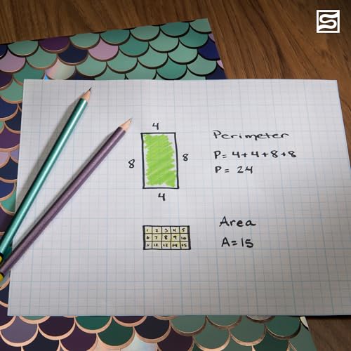 Bienfang Designer Grid Graph Paper Pad, 10x10 Cross Section, 8.5 x 11 Inches, 50 Sheets - color: 10x10 Cross Section, size: 8.5 x 11
