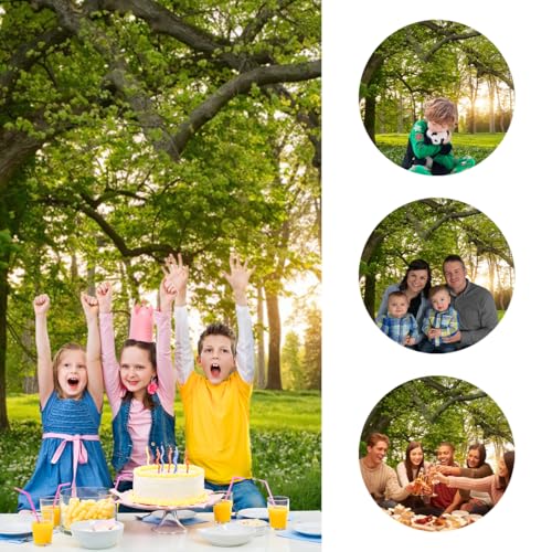 5x3ft Garden Spring Scenery Backdrop Rainforest Tropical Grassland Flowers in the Sunlight Nature Landscape Green Tree Photo Background for Camping Picnic Outdoor Party Bedroom Living Room - size: 5x3ft-polyester