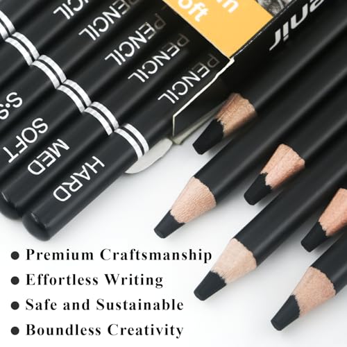Aenir Charcoal Pencils for Drawing,（S-Soft, Soft, Medium, Hard 12 Pieces | Charcoal Drawing Pencils for Drawing, Sketching, Shading, Smooth, Art Supplies for Artist and Beginners - color: Black