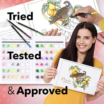 Castle Arts Christmas Coloring Book for Adults - with Color Guide | Cards, calendar, and scenes curated by in-house artists to lift the spirit - no-show-through paper, frameable A4 - color: Christmas