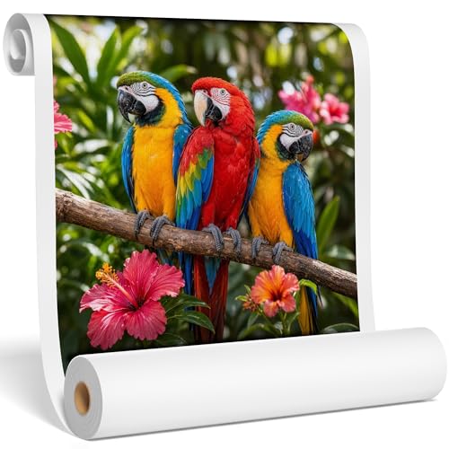 Matte Polyester Canvas Roll for Wide Format Printers, 24" x100', 200 GSM | Quick-dry and water-resistant for fine art, commercial printing, studio photography and gallery wraps, 15 mil with a 2" core - color: 1 roll, size: 24"x100' 200GSM