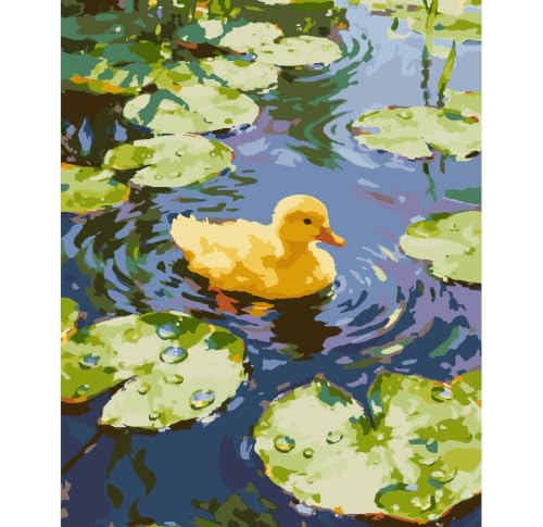 ZRIZQ Paint by Numbers Kit for Adults Beginner,Summer Duck,16x20 | Full set with rich paints,wooden brushes,rolled canvas.Calming,screen-free pastime.Beginner friendly.Just open and paint. - color: 16"X20"Rolled Canvas(Frameless)-Duck 1