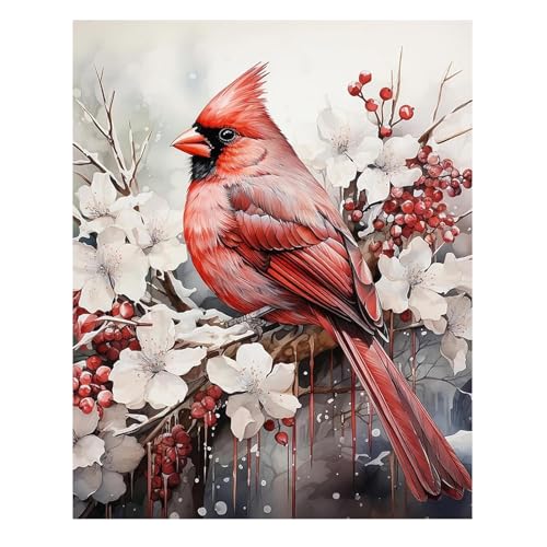 Reivworl Cardinal Paint by Numbers Kit for Adults, Cardinal Paint by Number Kits on Canvas, Acrylic Painting by Numbers for Gifts and Home Decor 16x20 Inch - color: 09-Cardinal, size: Without Frame