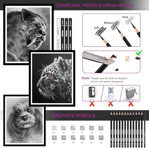 HIFORNY 42 PCS Drawing Set, Sketching Kit with Graphite & Charcoal Pencils, Blending Tools, Erasers & Accessories, Portable Zippered Travel Case for Artists & Beginners