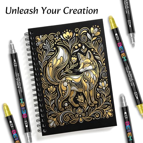 Betem 6 Gold&Silver Dual Tip Acrylic Paint Markers, Fabric Decorating Kits Premium Water-Based Acrylic Paint Pens Art Supplies for Fabric, Rock, Wood, Glass, Canvas, Ceramic, Teacher Appreciation Gift