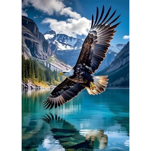 RbaArt Diamond Painting Kit Eagle Full Round Drill Diamond 5D DIY Diamond Art Perfect for Adults and Beginners Alike, This is an Ideal Choice for Home wall Decor. 12x16 inches - color: Eagle
