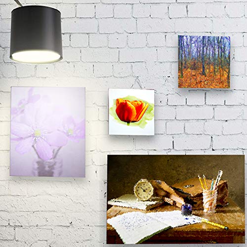 Stretched White Blank Canvas- 12x12 Inch,Bulk Pack of 8,Primed,100% Cotton,5/8 Inch Profile of Super Value Pack for Acrylics,Oils & Other Painting Media - size: 12"x12"