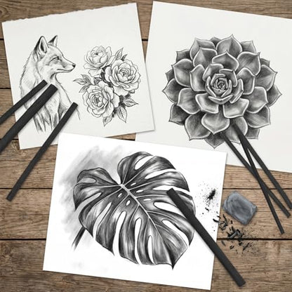 100 Pcs Willow Charcoal Sticks, Black Willow Charcoal for Artists Beginners Students, Drawing Charcoal for Sketching and Shading, Art Supplies(2-4mm, 4-5mm, 5-7mm,7-9mm)