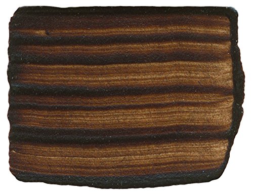 M. Graham Artist Oil Paint Burnt Umber 1.25oz/37ml Tube - color: Burnt Umber, size: 1.25 Fl Oz (Pack of 1)