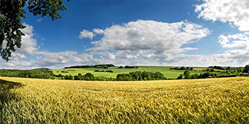 Yeele 15x8ft Vinyl Countryside Farm Field Backdrop for Photography Wheat Field Meadow Background Harvest Photo Booth Shoot Studio Props