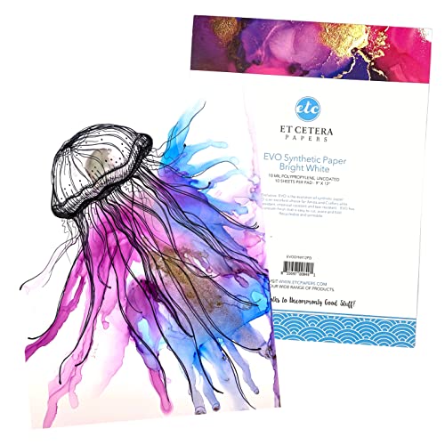 Alcohol Ink Paper - Non-Absorbent, Heavy Weight & Tear Resistant - Forgiving - Many Inks Wipe Off Clean For Easy Reuse On White - Flexible Bright White EVO 9x12 Inch (10 Sheets) - color: White, size: 9 x 12 Inches