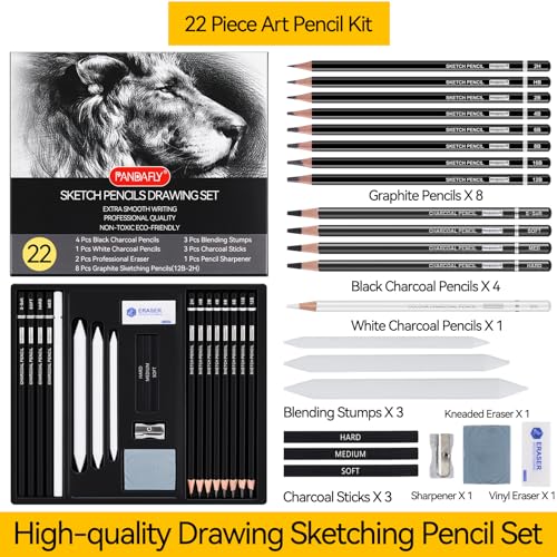 PANDAFLY Drawing Sketching Pencil Set, 22 Piece, Graphite Pencils (12B-2H)