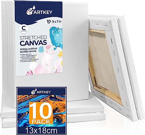 Stretched Canvases for Painting 5x7 Inch 10-Pack, 10 oz Triple Primed Acid-Free 100% Cotton Blank Canvas, Small Canvases for Oil Paint Acrylics Pouring & Wet Art Media - size: 5"x7"(10-Pack), style: Studio