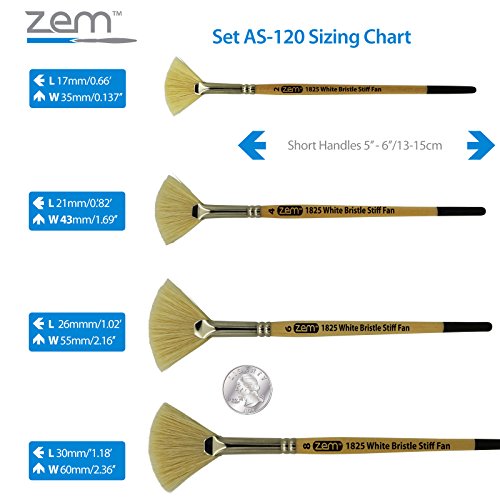 ZEM Brush White Hog Bristle Stiff Fan Brush Set Size 2,4,6,8