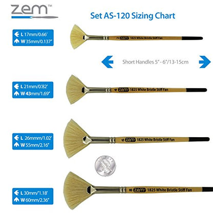 ZEM Brush White Hog Bristle Stiff Fan Brush Set Size 2,4,6,8