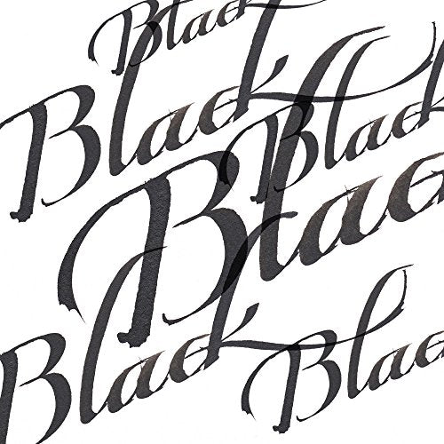 Winsor & Newton Calligraphy Ink, 30ml (1-oz) Bottle, Black (Pack of 2) - color: Black, size: 1 fl oz (Pack of 2)