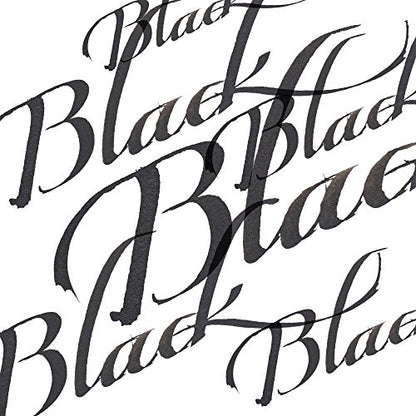 Winsor & Newton Calligraphy Ink, 30ml (1-oz) Bottle, Black (Pack of 2) - color: Black, size: 1 fl oz (Pack of 2)