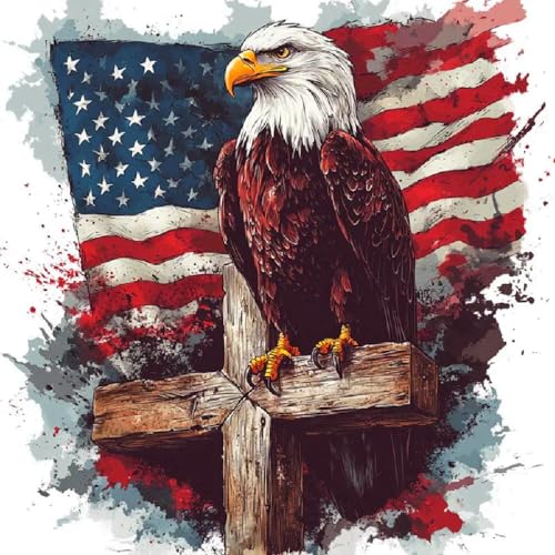 DIY Independence Day Eagle Diamond Art Kits for Adults - 4th of July Patriotic Diamond Painting for Adults, Full Drill 5D Cross Diamond Dots Gem Painting Kit for Wall Home Decor Arts Craft 14x14 inch - color: D022-US