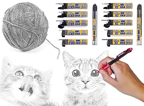 June Gold 2.0 mm, 108 Lead Refills, HB #2, 90 mm Length, 1 Carrying Case | Extra Bold Thickness, Break Resistant Graphite, Sketching, Shading, Blending, Construction, Carpentry - color: Hb Graphite, style: 2.0 mm