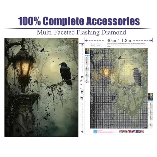 LWZAYS Gothic Dark Horror Forest Crow Diamond Painting Kits for Adults, DIY Full Round Drill Diamond Art Kits, 5D Art and Crafts Kit Perfect for Home Wall Deco 12"x16" - color: JX0413-US