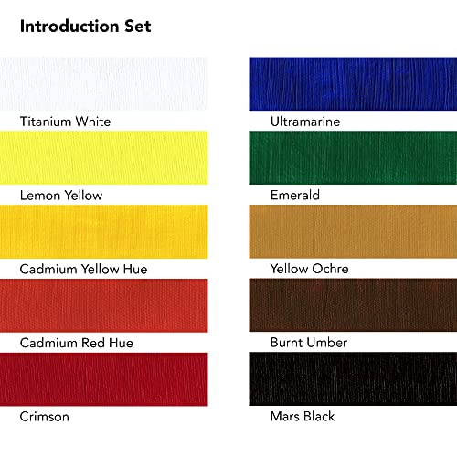 Daler Rowney System3 10-Tube Acrylic Paint Set for Adults - Acrylic Painting Supplies for Artists and Students - Acrylic Paints for Murals Canvas and More - Art Paints for Any Skill Set - style: 10 Pack Intro, Medium Body