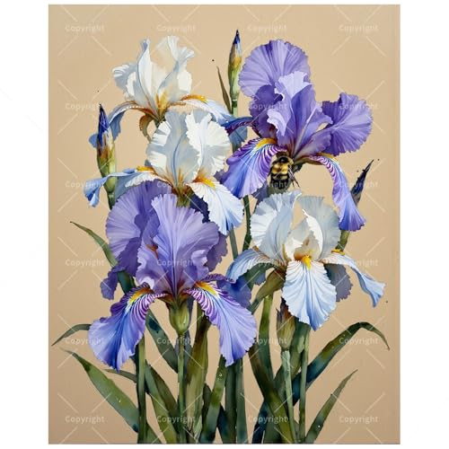 Flower Paint by Numbers Kit for Adults - DIY Iris Bouquet with Bumblebee Painting on Canvas 16x20 Inches, Acrylic Paint Set, Suitable for Beginners, Art for Home Decoration or Gifts - color: TCXY07132, size: 16X20IN Folded